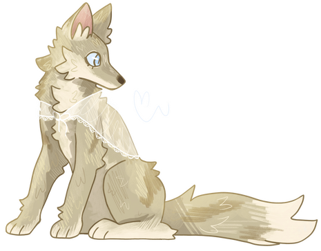 Full body polish $60